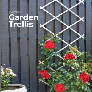 Nurture & Bloom Wooden Trellis Expandable Garden Wall Trellis For Climbing Plants Decoration & Plants Partitioning (Pack Of 3) (180cm x 30cm) (Natural Wood)
