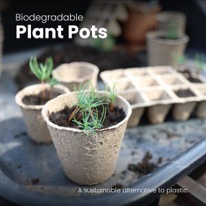 Nurture & Bloom Biodegradable Seed Trays 96 Pcs 8 Cm Paper Cups Plant Pots Seed Round Seedling Pots For Growing Vegetables, Fruit, Herb, Flower