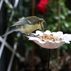 Nurture & Bloom Bird Feeders Free Standing Flower Birds Feeding Station | Garden | Outdoor | Pole | Decorative | Wild Bird | Seed | Nut | Water | Bowl | Bath | Dish (Pack of 2) (White)