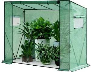 Tomato Walk-In Greenhouse (Green)