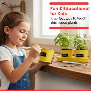 Yellow Flower Pots (STN275)