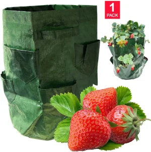 Strawberry Grow Bags (4 Pack)