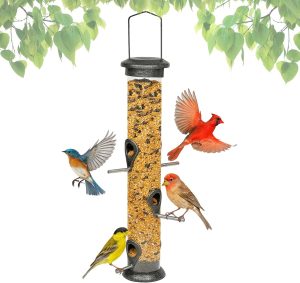 Birds Seed Feeder (Extra Large)